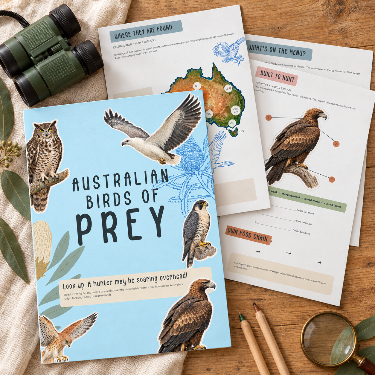 Australian Birds of Prey Unit Study