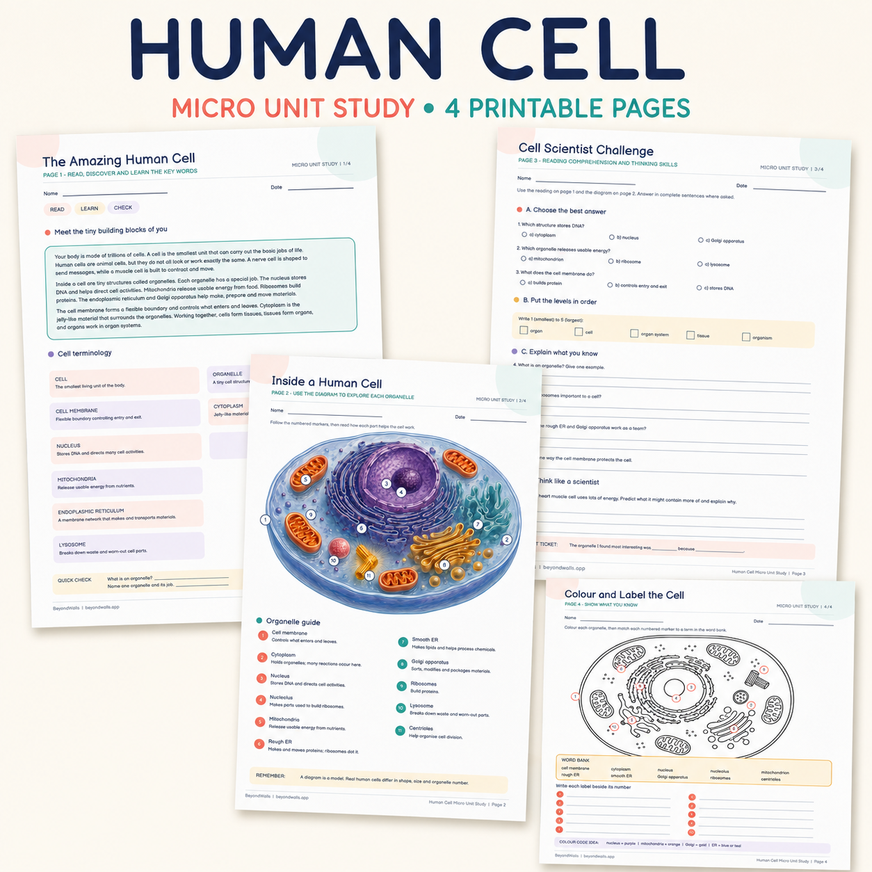 Human Cell Micro Unit Study